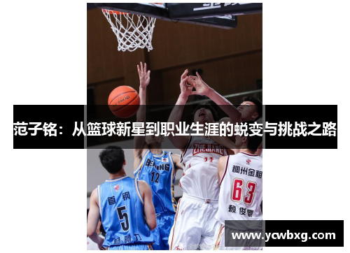 范子铭：从篮球新星到职业生涯的蜕变与挑战之路
